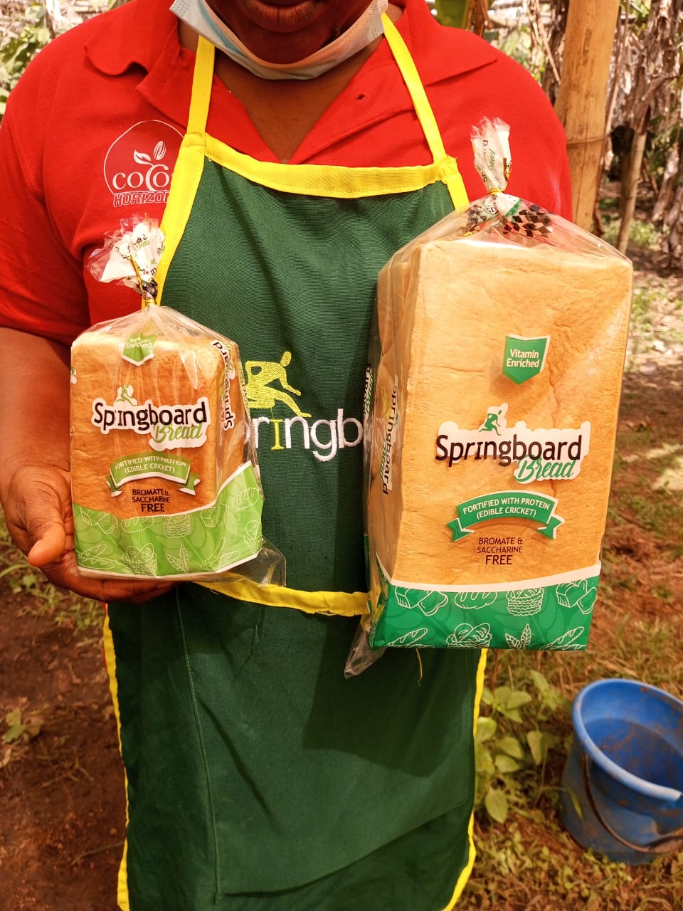 Results scaling study crickets Nigeria - Flying Food Project