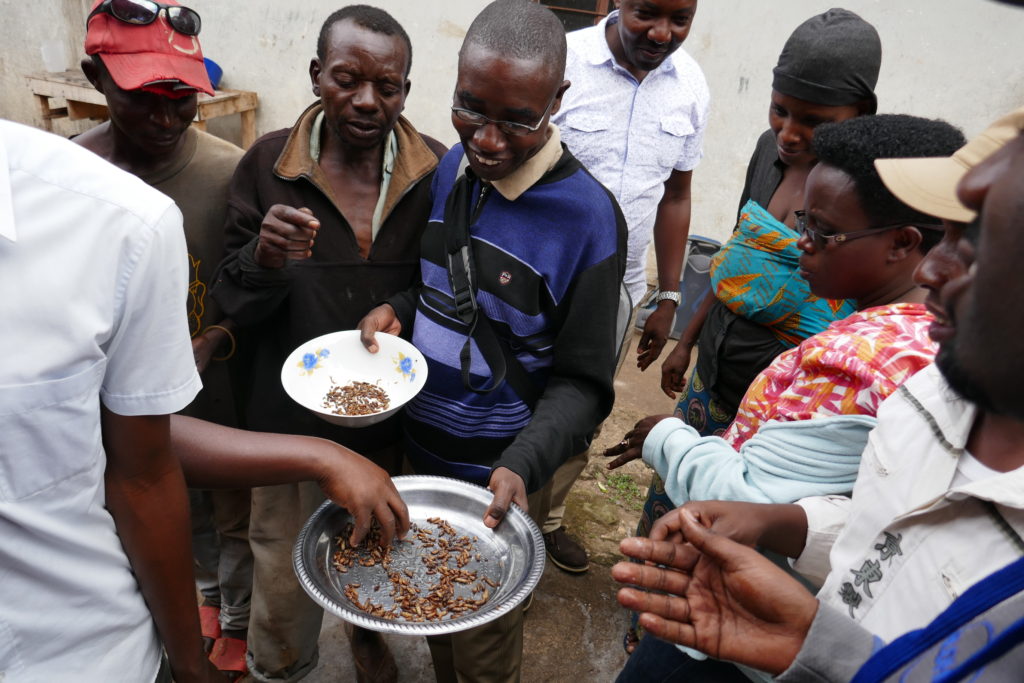 Feasibility study Burundi - Flying Food Project